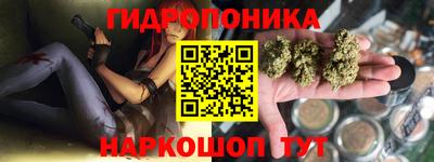 гидра Рязань