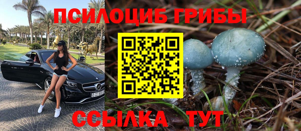 А ПВП Сегежа