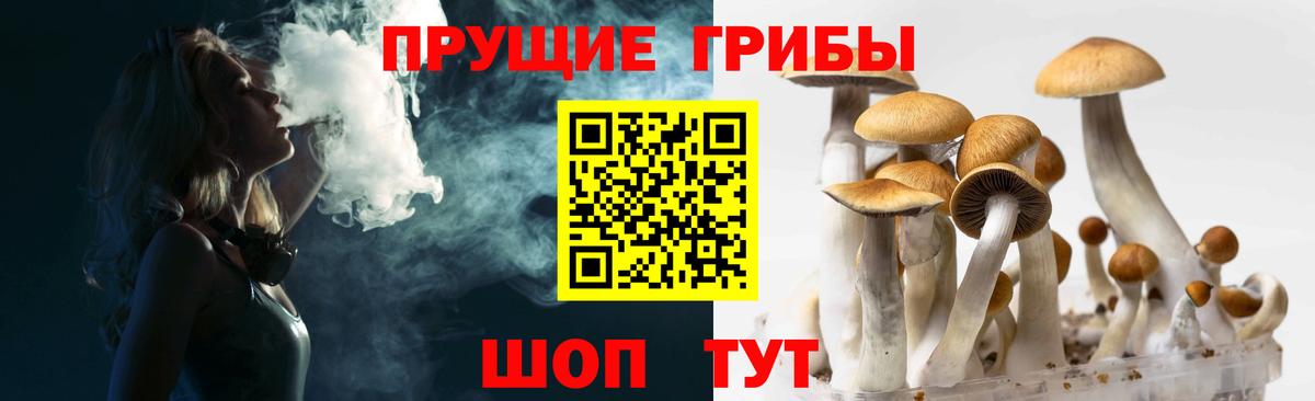Псилоцибиновые грибы мухоморы Сегежа